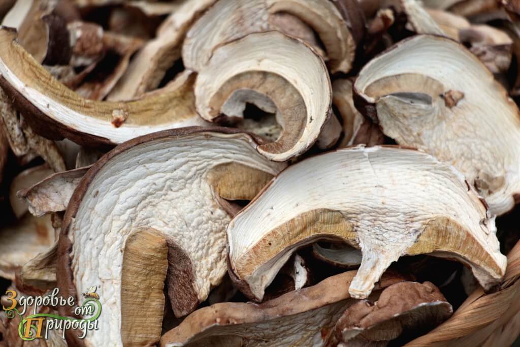 Белые грибы сушёные купить в Москве вкусные и чистые